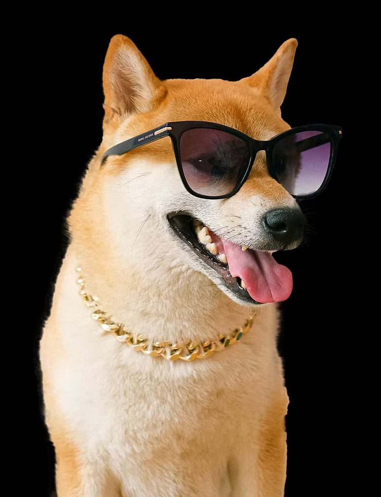 Dog Grooming in Seattle - PawsVIP Professional Pet Grooming
