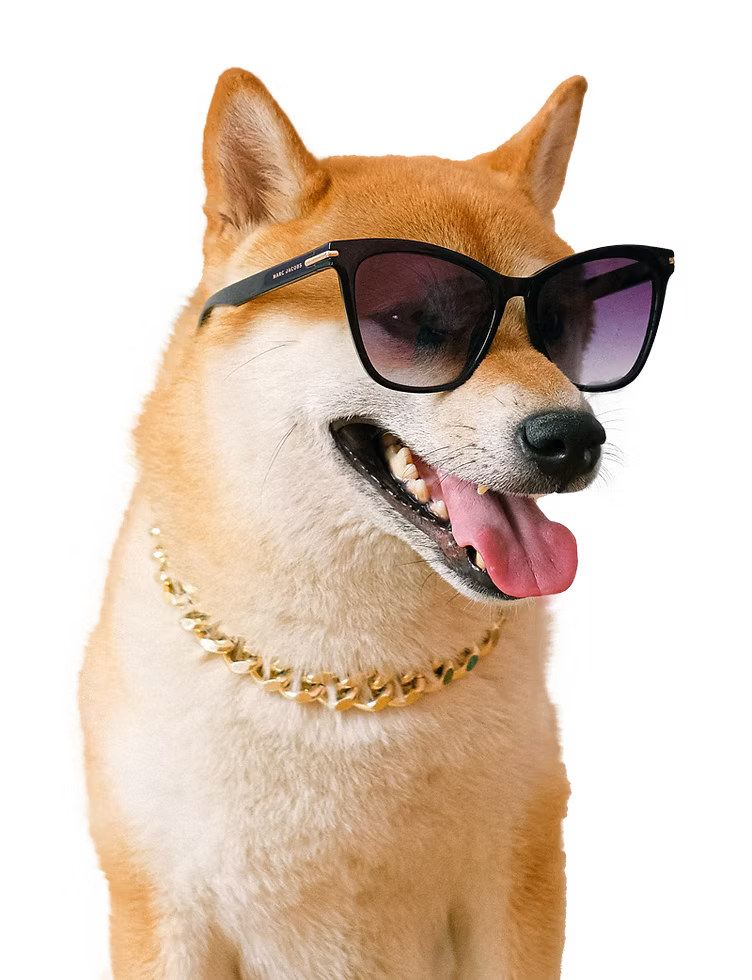 Dog Grooming in Renton - PawsVIP Professional Pet Grooming