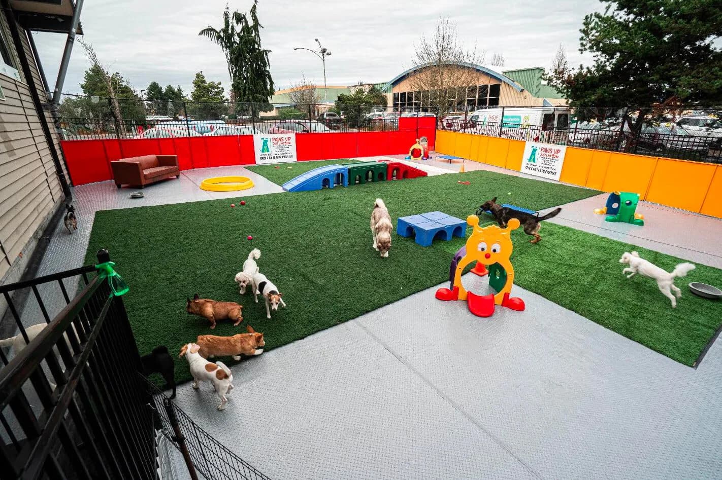 Modern pet boarding kennels with spacious enclosures